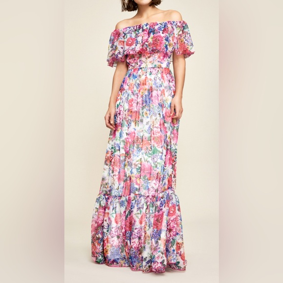 Tadashi Shoji Dresses & Skirts - NWT Tadashi Shoji Paola Floral Print Maxi Dress Size 12